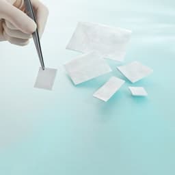 Lyoplant® Onlay-Product Picture CW Enlargement